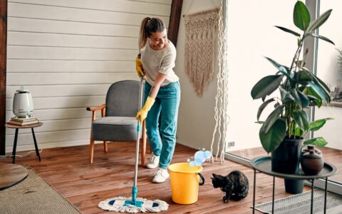 Wohnungsputz mit Wischmop