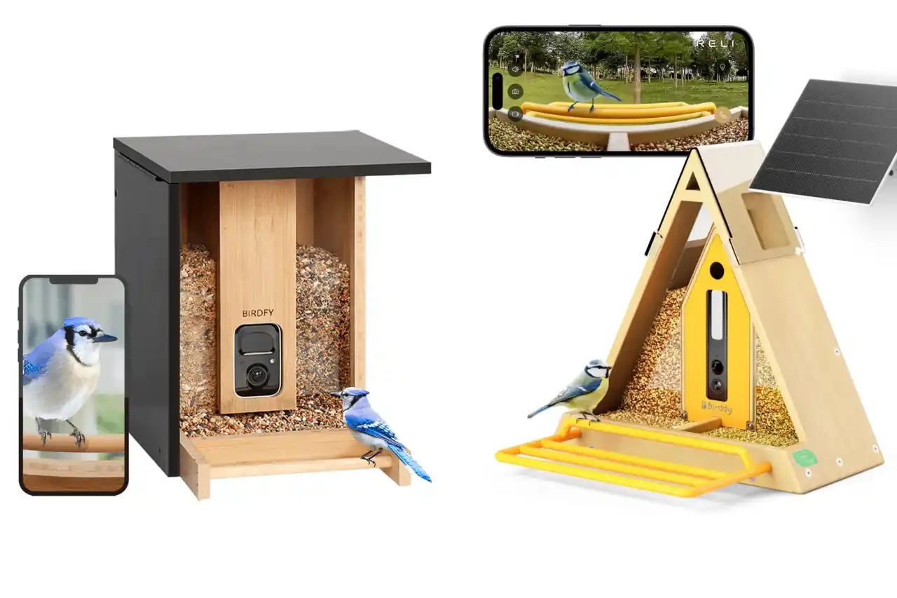 Smarte Vogelfutterstationen Aufmacher